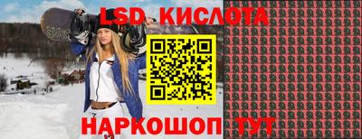 прущие грибы Шелехов