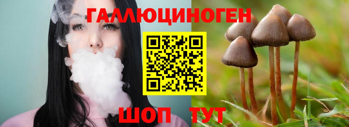 Галлюциногенные грибы Cubensis Архангельск